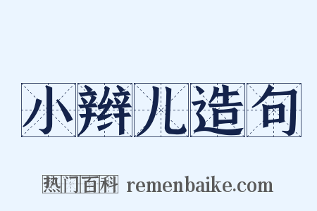 小辫儿造句是什么意思的图片